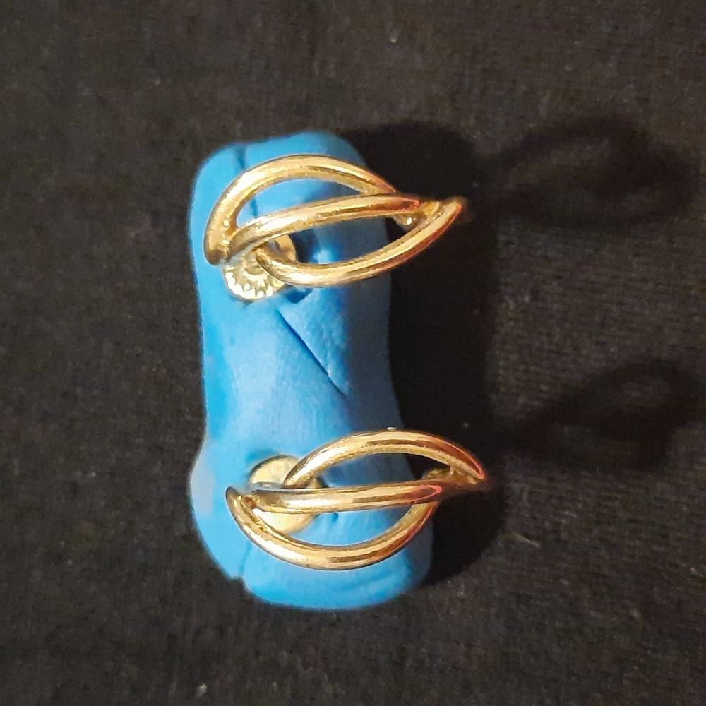 Vintage Monet earrings